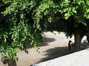 Jean Mace filles la cour 01 
